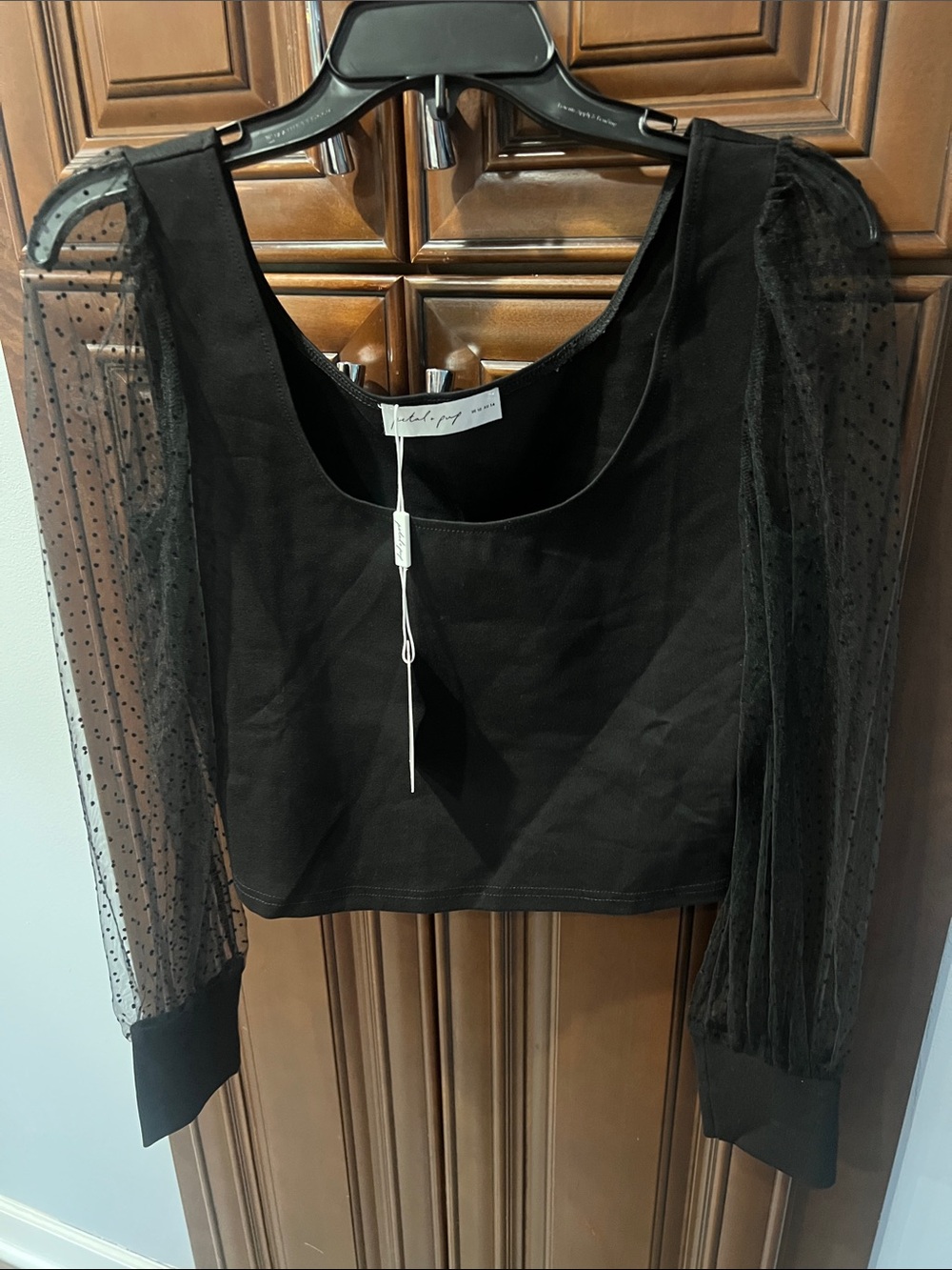 Petal & Pup Black Crop Top with Sheer Dotted Puff Sleeves